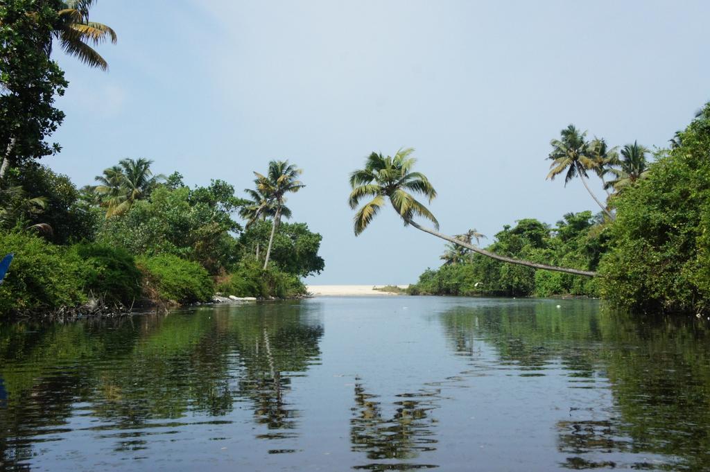 Marari Secret Beach Yoga Homestay Марарикулам Екстериор снимка
